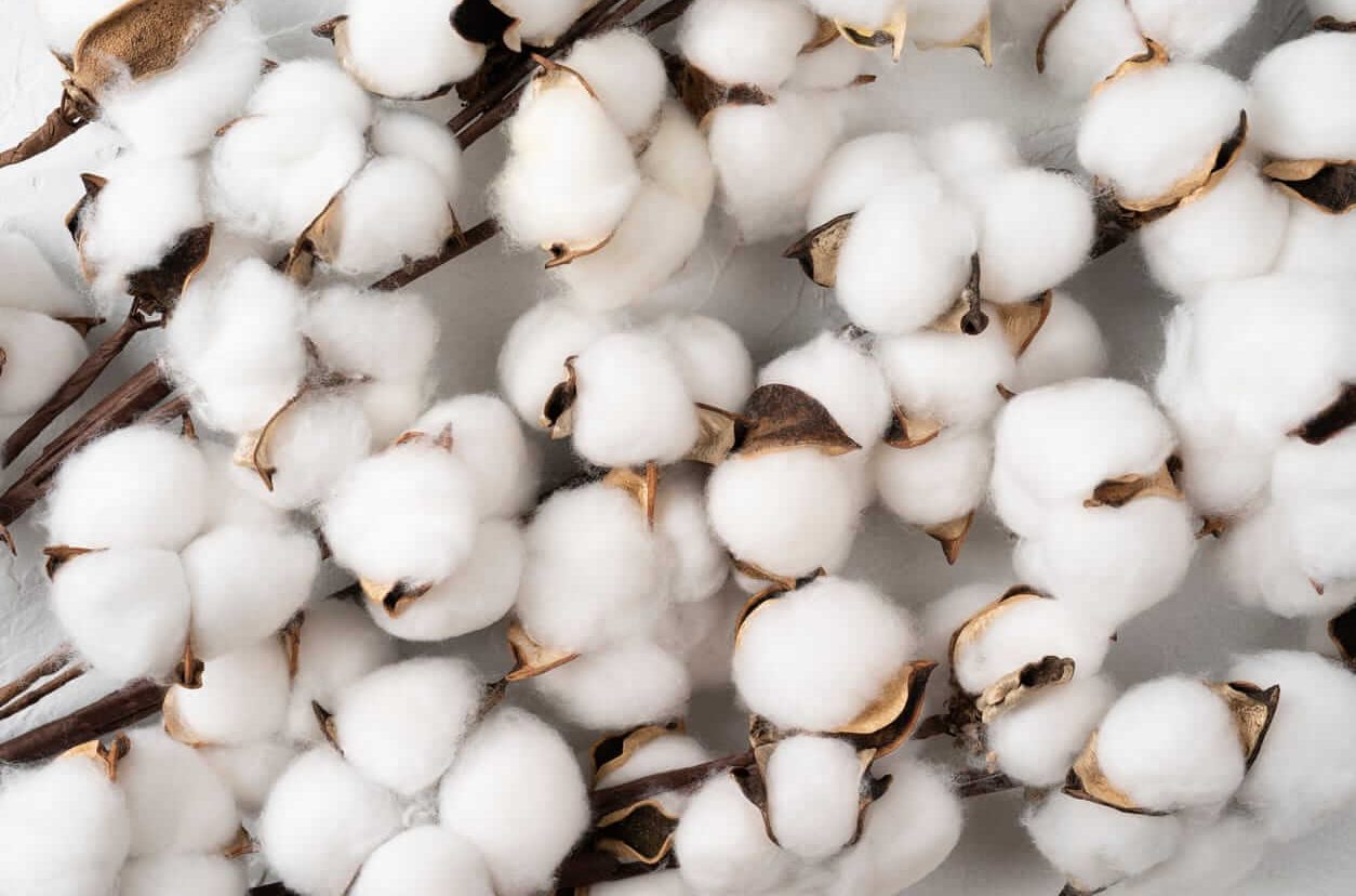 Cotton Closes Mixed on Wednesday